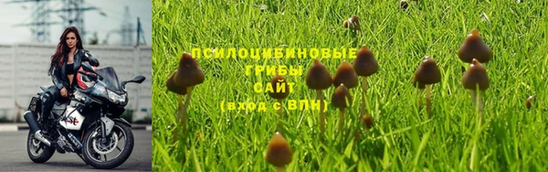 MESCALINE Гусиноозёрск
