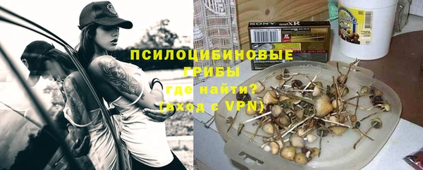 бутират Горно-Алтайск