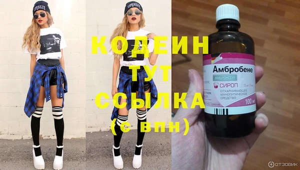 гидропоника Горнозаводск